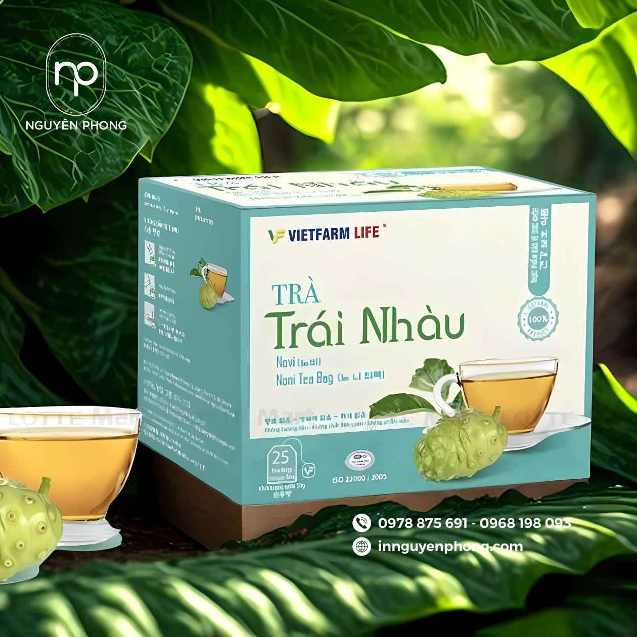 hộp đựng thuốc từ trái nhàu